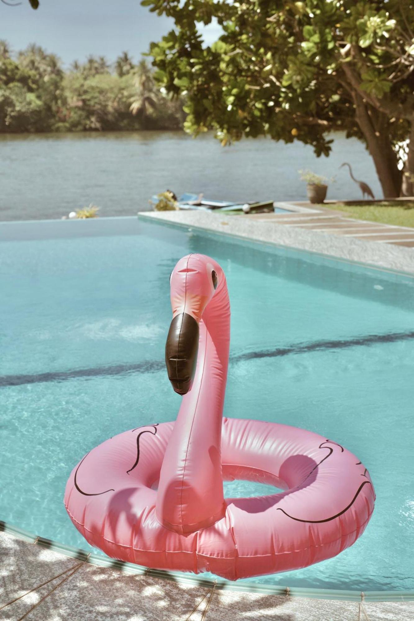 Villa Riverside アボッターバード エクステリア 写真